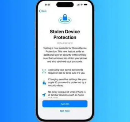 高石碑镇苹果授权维修店分享被盗设备保护功能开启方法 
