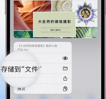 高石碑镇apple维修中心分享iPhone文件应用中存储和找到下载文件