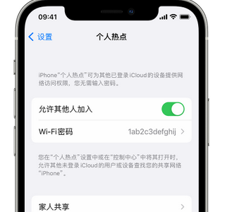 高石碑镇apple服务站点分享iPhone上个人热点丢失了怎么办 