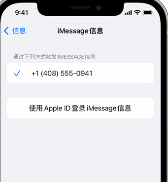 高石碑镇apple维修iPhone上无法正常发送iMessage信息 