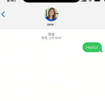 高石碑镇apple维修iPhone上无法正常发送iMessage信息