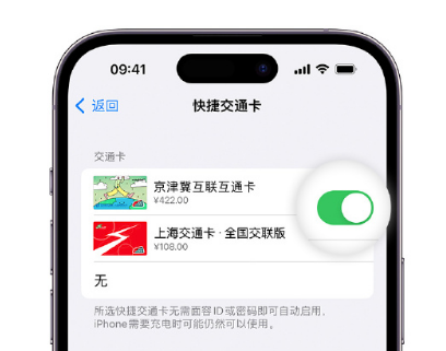 高石碑镇apple维修点分享iPhone上更换Apple Pay快捷交通卡手绘卡面 