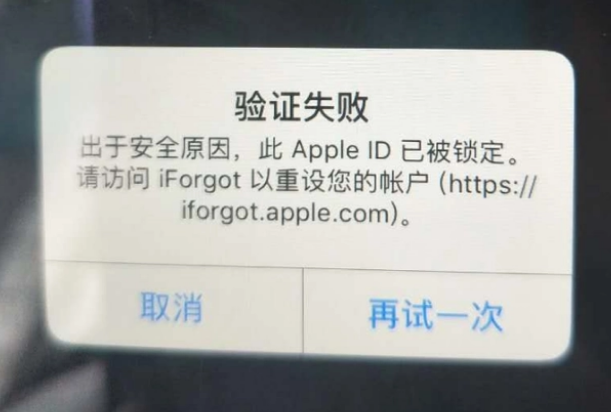 高石碑镇iPhone维修分享iPhone上正常登录或使用AppleID怎么办 