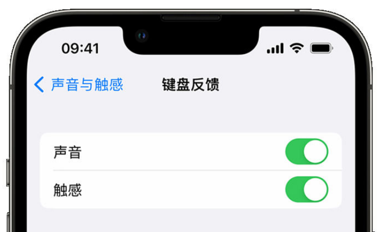 高石碑镇苹果手机维修分享iPhone 14触感键盘使用方法 