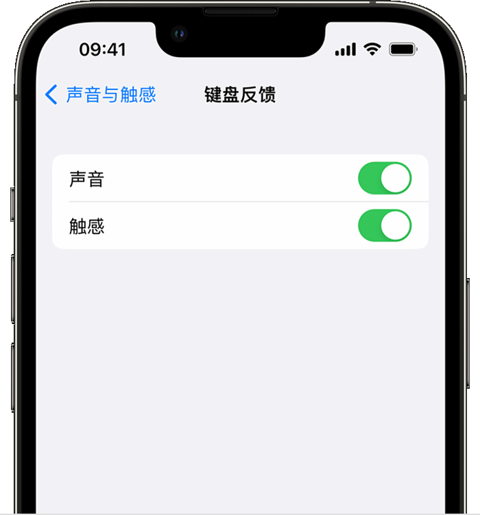 高石碑镇苹果14维修店分享如何在 iPhone 14 机型中使用触感键盘 