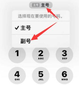 高石碑镇苹果14维修店分享iPhone 14 Pro Max使用副卡打电话的方法 