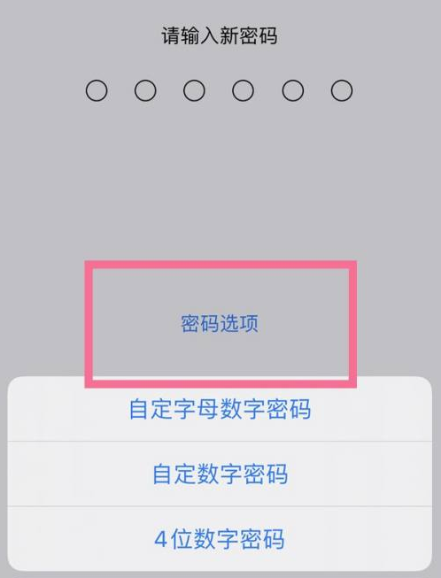 高石碑镇苹果14维修分享iPhone 14plus设置密码的方法 