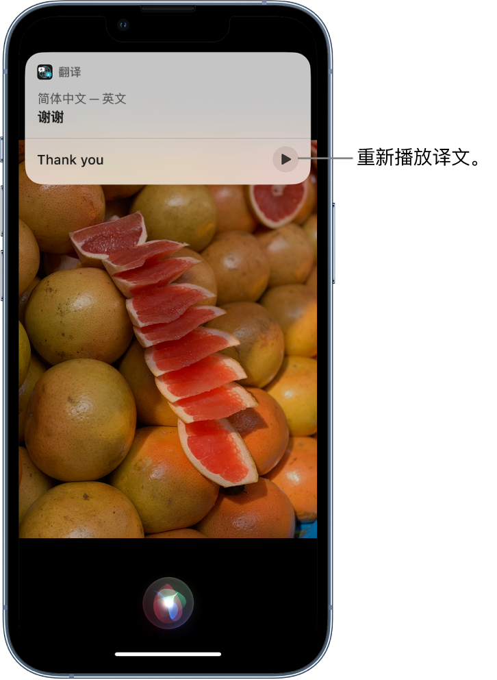 高石碑镇苹果14维修分享 iPhone 14 机型中使用 Siri：了解 Siri 能帮你做什么 