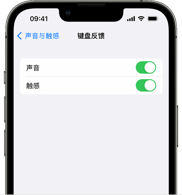高石碑镇苹果14维修分享iPhone 14 系列机型如何开启键盘声音或触感反馈 