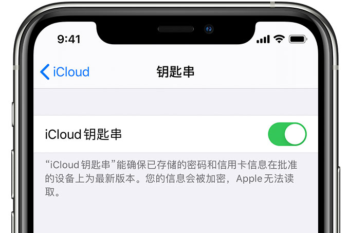 高石碑镇苹果手机维修分享在 iPhone 上开启 iCloud 钥匙串之后会储存哪些信息 