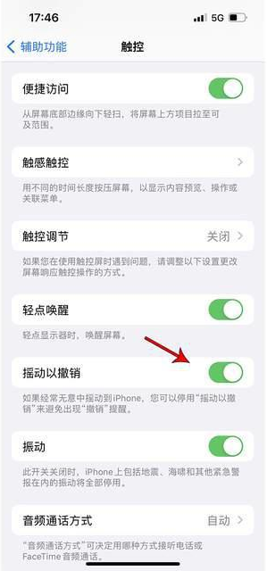 高石碑镇苹果手机维修分享iPhone手机如何设置摇一摇删除文字 