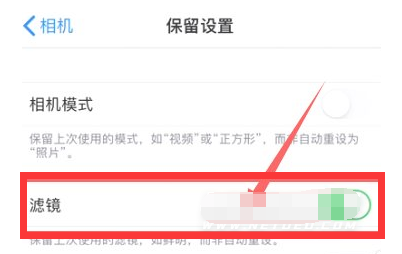 高石碑镇苹果13维修分享iPhone13拍照有绿点是怎么回事 