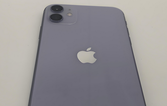 高石碑镇苹果11系统维修分享iPhone11手机系统崩溃无法开机如何解决 